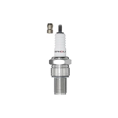 Το Nickel Found Plug B10ECS 2199